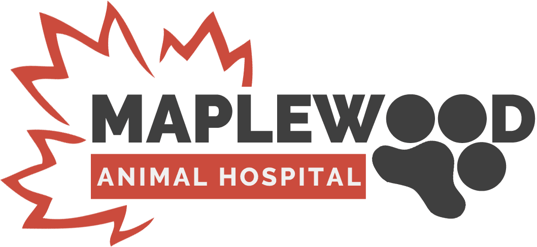 Meet Tara | Receptionist | Maplewood Animal Hospital