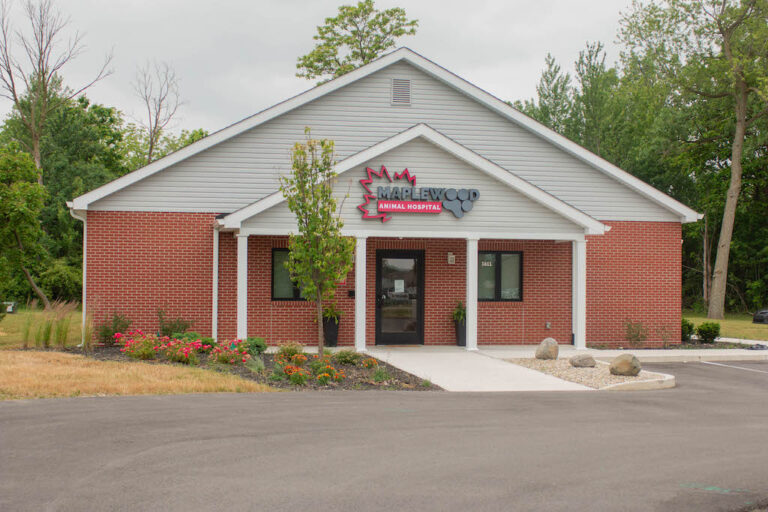 Contact Us Maplewood Animal Hospital Vet in Muncie, IN